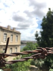 Naklejka premium düğüm