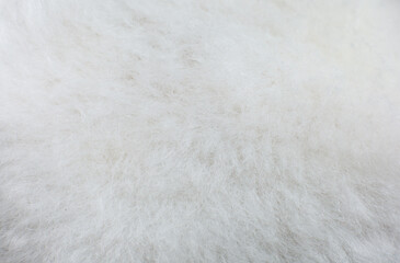 Plakat White cotton towel or carpet.fluffy texture background. Close up photo.