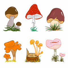 Set of mushrooms illustrations and icons. Colorful nature. Fungi. Idea for decors, picture in frame, gifts, ornaments, celebrations, invitation, greeting, logo, autumn holidays, environment themes. 