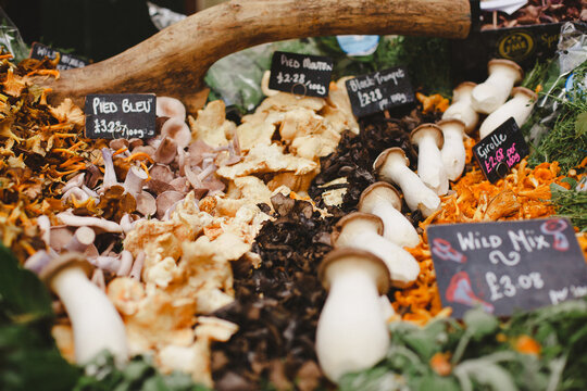 Produce Fresh Mushrooms in a market stall in Borough Market, London