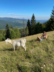 girl on a meadow