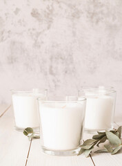Beautiful white burning candles with eucalyptus leaves on white wooden background