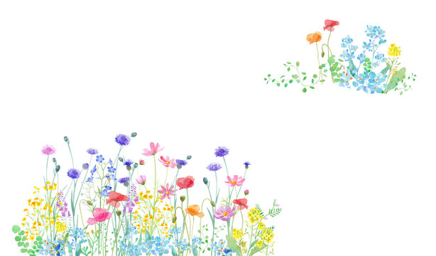 228 Best 蔓草 Images Stock Photos Vectors Adobe Stock 228 Best 蔓草 Images Stock Photos Vectors Adobe Stock