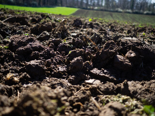 close up of plowed field with soil