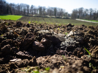 plowed field with soil in springtime