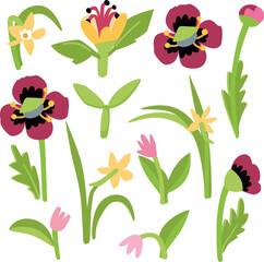 Vector set. Forest and meadow flowers. Poppies, tulips, and daffodils. 