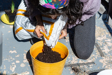 planting a plant beginning of spring