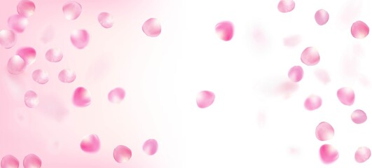 Rose Petals Falling Confetti. Falling Japanese Cherry Rose Sakura