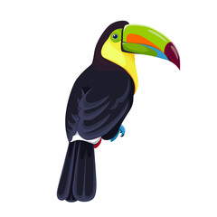 Rainbow-billed toucan, a tropical bird. Vector illustration isolated © Irina