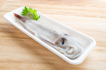 生のスルメイカ