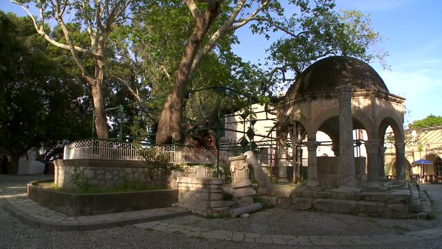 The famous Plane tree of Hippocrates the father of Medicine where he taught his students under its shadow is located in Kos Greece