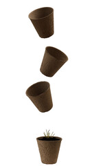 Disposable garden paper cups isolated on white background.