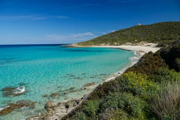 Foto op Plexiglas La plage de Bodri, Corbara en Corse © iSTintu 〽️