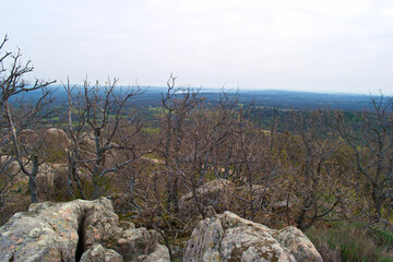 krajobraz góry skały drzewa widok natura przyroda sierra de guadarrama © Piotr