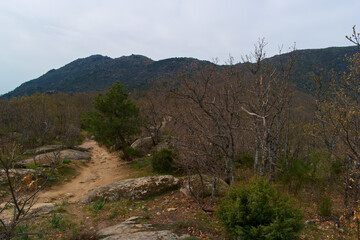 krajobraz g&oacute;ry skały drzewa widok natura przyroda sierra de guadarrama