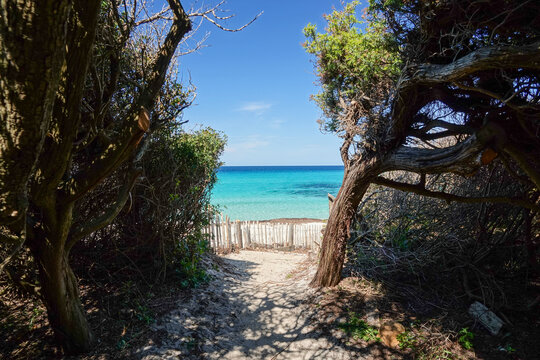 La plage de Bodri, Corbara en Corse