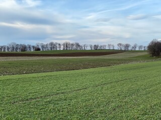 Fototapeta na wymiar Die Schwäbische Alb ist ländlich strukturiert. Hier bei Ochsenwang (Kreis Esslingen) wechseln Wiesen, Felder und Baumreihen am Albtrauf.