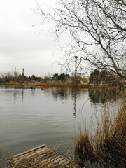 reflection in the water