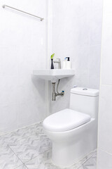 Fototapeta na wymiar White toilet and flush toilet and washbasin