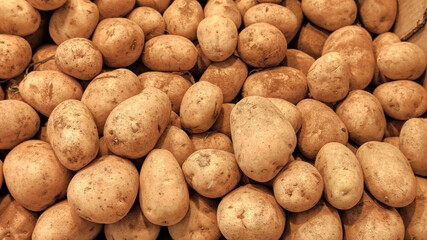 Brown fresh potatoes are sold in the market of  Valencia. The newly harvested potatoes have already appeared on the market