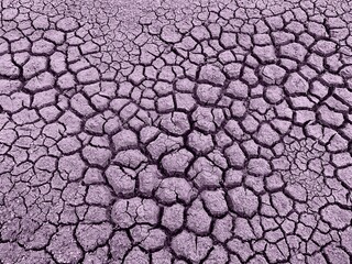 Dry cracked earth ground soil in desert.