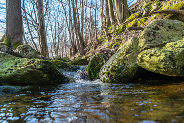 mountain river flows among stones and rocks in a mountain forest