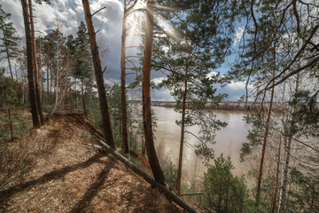 lake in the forest