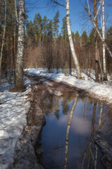 winter in the mountains