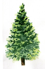 Watercolor. Christmas tree. Tree. Green color. Located on a white background.