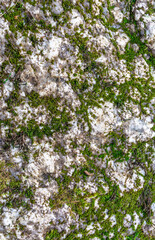 Photo of grey stone texture