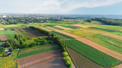 the green field is at sunset shot with the drone