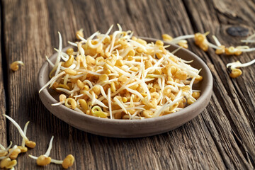 Fresh fenugreek sprouts in a bowl on a table
