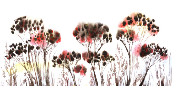 Watercolor Landscape With Dark Blurry Silhouettes Of Angelica With Red Spots On Umbrellas And Thin Grass Against White Background. Hand Drawn Illustration Of Field Growth