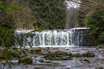 Cascade falls over mossy rocks