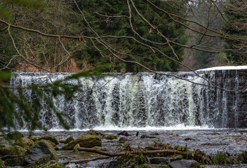Cascade falls over mossy rocks
