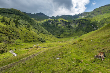 Fototapeta na wymiar landscape with grass and mountains - end of the alpine valley, austria, Bad Gastein