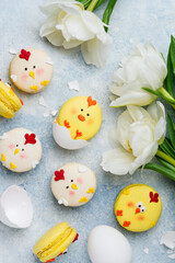 Easter macarons chicks on a blue background with white tulips . Easter treat, dessert, symbol. Top view