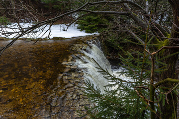 Cascade falls over mossy rocks