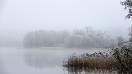Nebel am Schaalsee