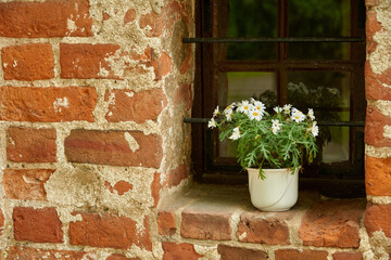 Flower pot stands in the window of a brick building