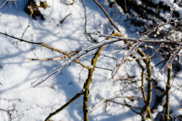Winterlandschaft auf der Hohen Wurzel in Taunusstein Wiesbaden 
