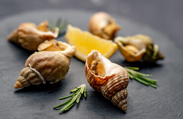 Snails with lemon on black platter