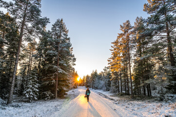 A lonely lody tourist visiting countryside tranquil snowy frozen seashore with sunset through the horizon surrounded by pine trees - obrazy, fototapety, plakaty