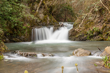 Obraz premium Green Forest And Waterfall Flowing In The Lake ( Çenedağı şelalesi, Derince, Kocaeli Türkiye)