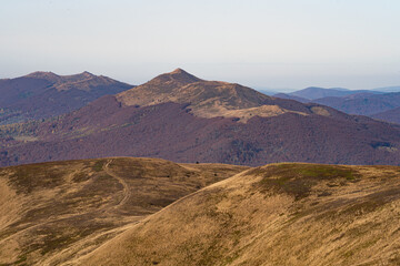 View at Caryńska Meadow from Tarnica in Polish Bieszczady mountains
