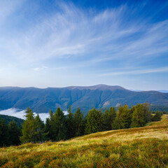 Fototapeta premium summer day mountain landscape
