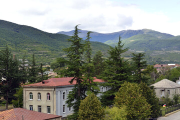 Fototapeta na wymiar Castle of the Ksani Eristavs in the South Caucasus