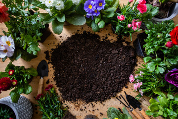 Top view of various flowers in pots stand around the soil