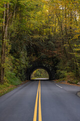 Trees Begin To Change Color Over Tunnel