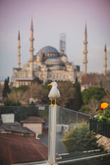 View of Blue Mosque in Istanbul, Turkey